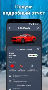 Проверка АвтоНомера скриншот 1
