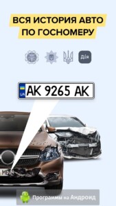 Проверка авто по базе МВД Украины скриншот 2