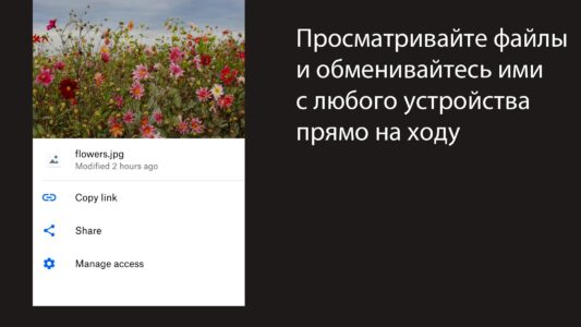 Dropbox (Дропбокс) скриншот 2