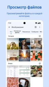 Google Files скриншот 2