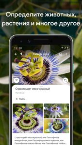 Google Объектив скриншот 3