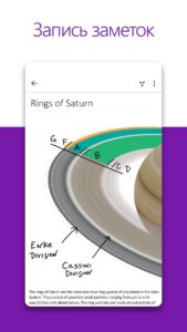 Microsoft OneNote скриншот 1