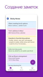 Microsoft OneNote скриншот 2