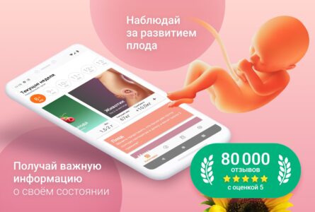 Календарь беременности по дням скриншот 1