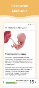 Календарь беременности скриншот 2