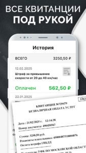 Штрафы ГИБДД с фото скриншот 7
