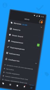 Steam скриншот 2