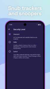 Tor Browser скриншот 4