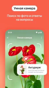 Яндекс с Алисой скриншот 8
